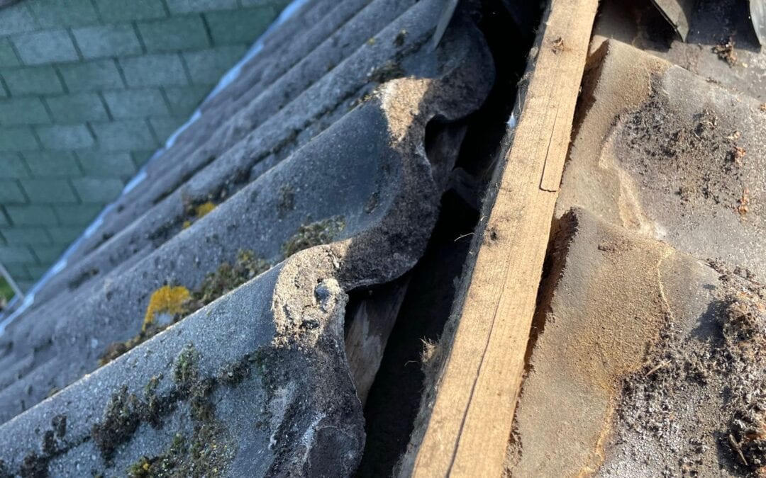 Hoe werkt de verzekering bij schade aan je dak?