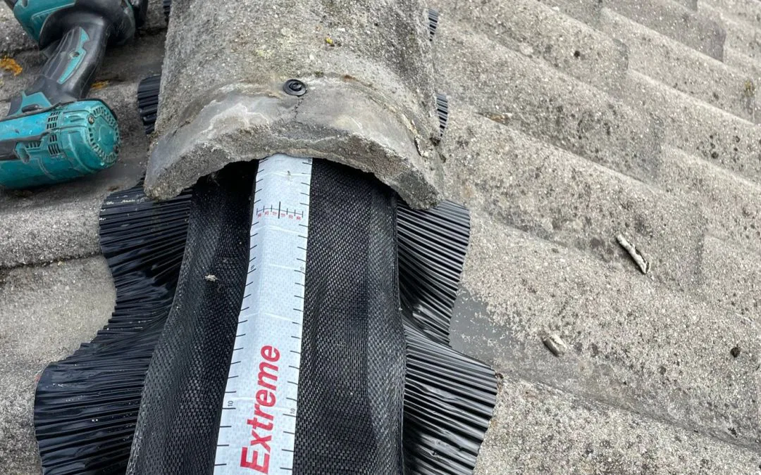 Waarom is periodiek dakonderhoud zo belangrijk?